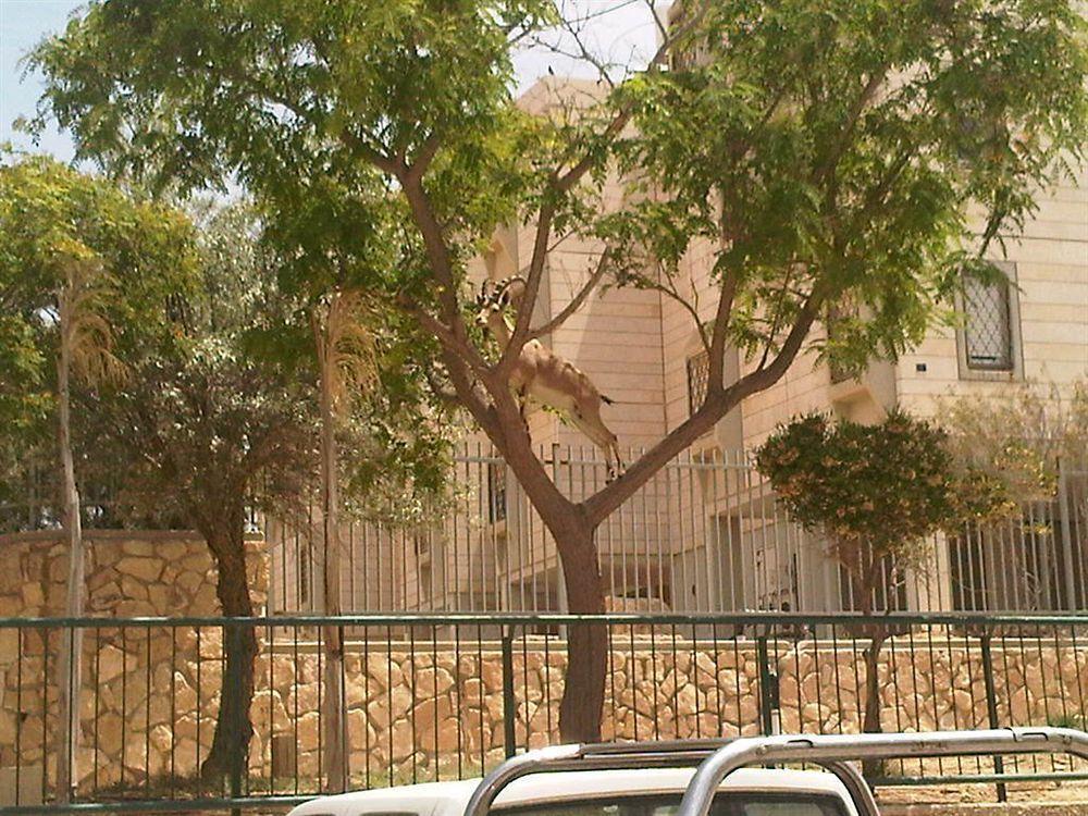 Ramon Suites By Smart Hotels Mitzpe Ramon Ngoại thất bức ảnh